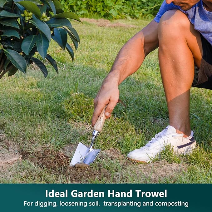 Berry&Bird Garden Tool Set- 3PCS Stainless Steel Gardening Tool Sets with Wooden Handle Trowel Weeding Fork & Digging Shovel Hand Tool Kit for Planting, Ideal Gardening Gift for Women & Men